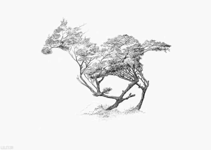 تابلو طراحی درختان اسب تابلو طراحی درختان اسب