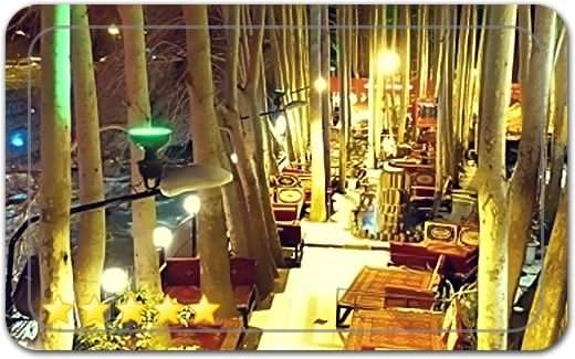 رستوران زنجیره‌ای ارکیده Orchid Restaurants