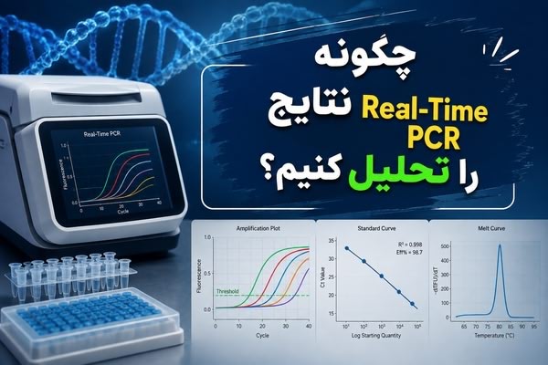 چگونه نتایج Real-Time PCR را تحلیل کنیم؟