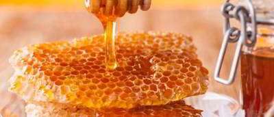 راهنمای موم عسل راهنمای موم عسل