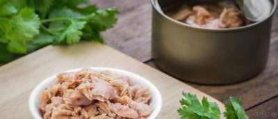 راهنمای موادغذایی کنسرو شده راهنمای موادغذایی کنسرو شده