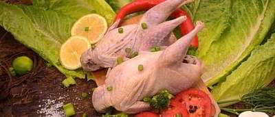 راهنمای گوشت بلدرچین و کبک راهنمای گوشت بلدرچین و کبک