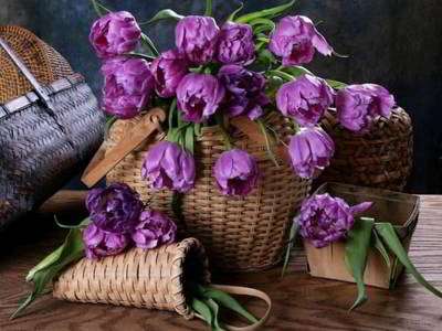 راهنمای انتخاب و خرید گل و گیاه مصنوعی