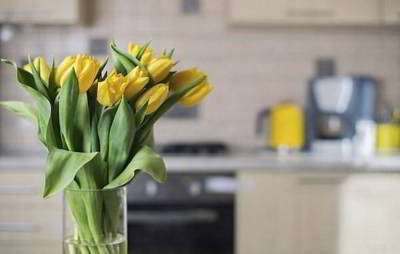 نگهداری گلهای شاخه بریده نگهداری گلهای شاخه بریده
