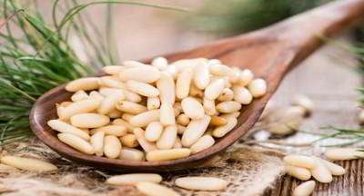 چلغوز چلغوز