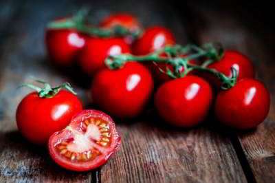 گوجه فرنگی گوجه فرنگی