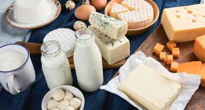 با مزاج لبنیات آشنا شوید با مزاج لبنیات آشنا شوید