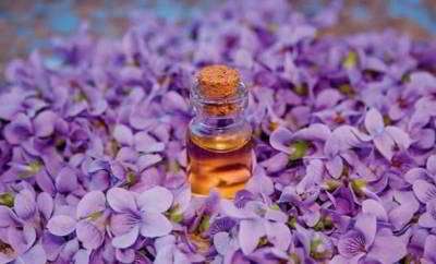 روغن بنفشه روغن بنفشه
