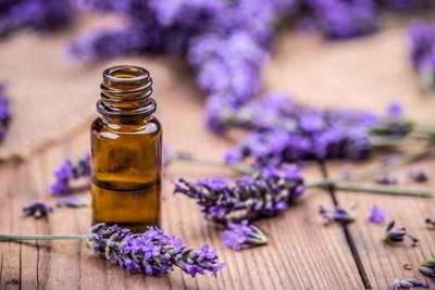 عرق اسطوخودوس عرق اسطوخودوس