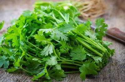 جعفری جعفری