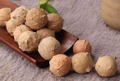 مازو مازو