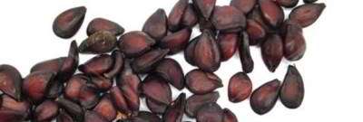 به دانه به دانه