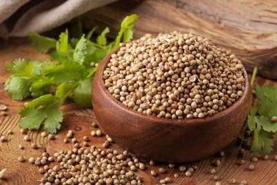گشنیز گشنیز