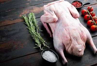 گوشت غاز گوشت غاز