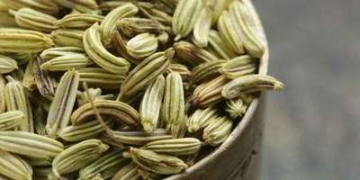 عرق رازیانه عرق رازیانه