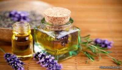 مگس (روشهای مقابله) مگس (روشهای مقابله)
