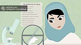 چرا پیر می شیم؟ چرا پیر می شیم؟