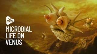 وجود حیات در ونوس جهنمی زیبا به نام ناهید یا زهره