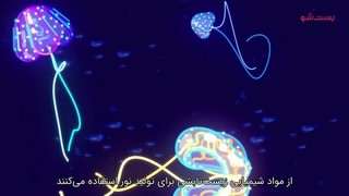 اسرار پنهان عمیق ترین و تاریک ترین مکان زمین