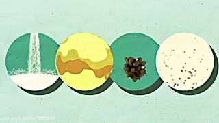 تاثیر شکر یا قند بر مغز