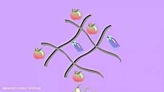 چرا انواع زیادی سیب وجود دارد؟