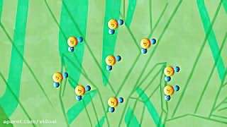چرا شیشه شفاف است؟