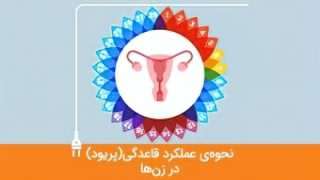 نحوه ی عملکرد قاعدگی در زن ها