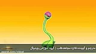 افسانه ی تفاوت نیمکره‌های مغز