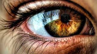 دیوانه خانه ای درمیان صدها هزار میلیون دنیا