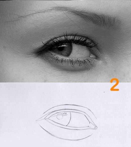 روش طراحی از روی عکس و انجام سایه هاشور
