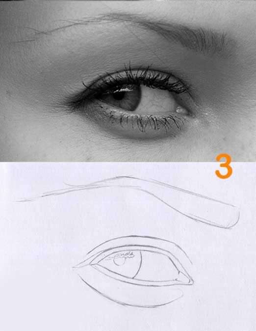 روش طراحی از روی عکس و انجام سایه هاشور