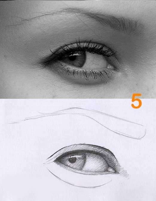 روش طراحی از روی عکس و انجام سایه هاشور
