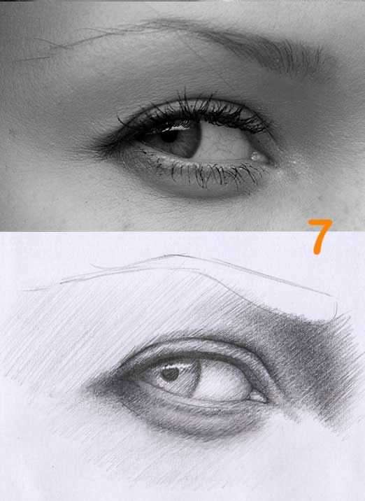 روش طراحی از روی عکس و انجام سایه هاشور