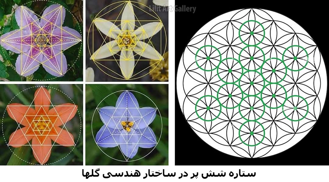 ساختار ستاره ششپر با ششضلعی