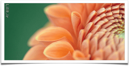 📷 سبک عکاسی نیچر طبیعت چیست؟ Nature photography 📷 سبک عکاسی نیچر طبیعت چیست؟ Nature photography