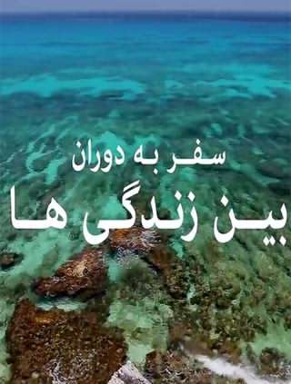 سفر به دوران بین زندگیها سفر به دوران بین زندگیها