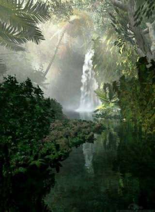 جنگل راز آمیز