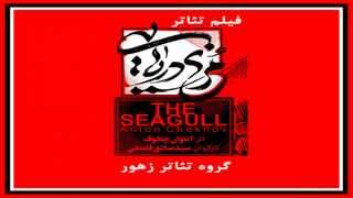 مرغ دریایی مرغ دریایی