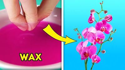 23 روش و ایده دکوراسیون برای خانه در یک ویدیو 23 روش و ایده دکوراسیون برای خانه در یک ویدیو